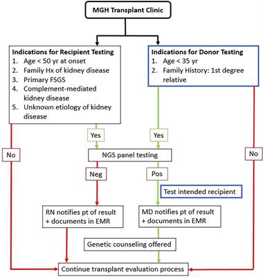 A pragmatic approach to selective genetic testing in kidney transplant candidates